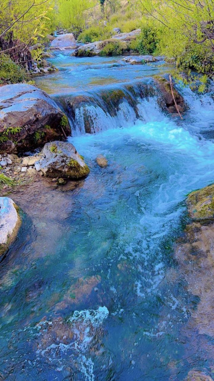 Rivulet Resort & Camping ムスーリー エクステリア 写真