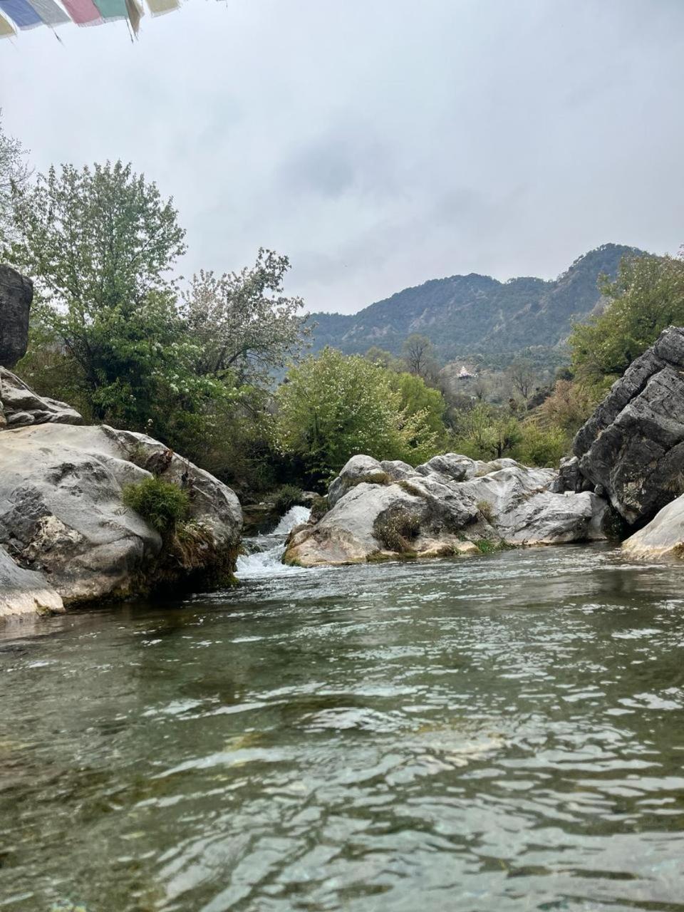 Rivulet Resort & Camping ムスーリー エクステリア 写真